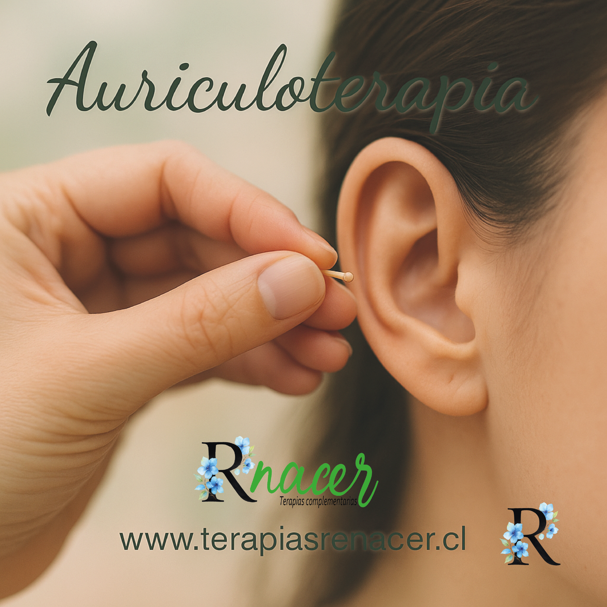 Sesión de Auriculoterapia | Equilibra tu Cuerpo a Través del Oído